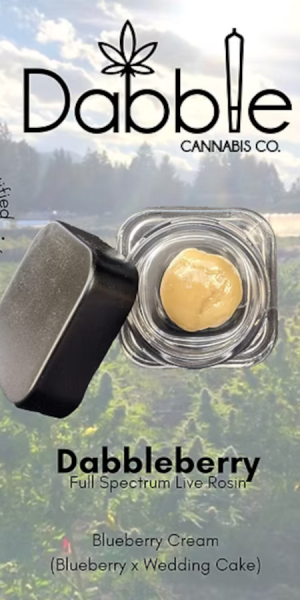 Dabble Island Punch 15mg four pack