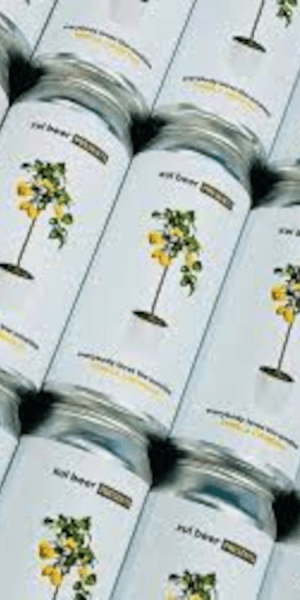 Xul Beer Everybody Loves the Sunshine Lemoncello Vanilla